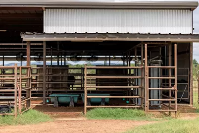 5686 Ranch Rd 1631, Fredericksburg, TX 78624 - Photo 52