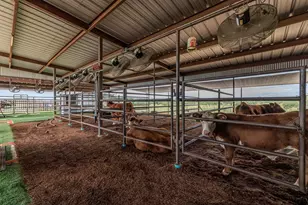 5686 Ranch Rd 1631, Fredericksburg, TX 78624 - Photo 46