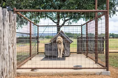 5686 Ranch Rd 1631, Fredericksburg, TX 78624 - Photo 28