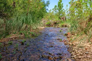 394 Ropes End Trl, Fredericksburg, TX 78624 - Photo 4