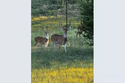 505 John Price, Blanco, TX 78606 - Photo 28