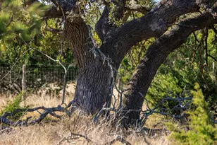 56 Rocky Top Rd, Harper, TX 78631 - Photo 48