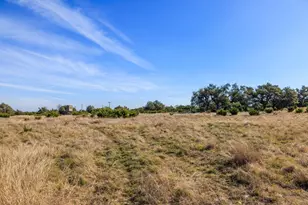 56 Rocky Top Rd, Harper, TX 78631 - Photo 40