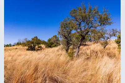717 N Scenic Hills Court, Blanco, TX 78606 - Photo 40