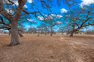 1125 Knopp School Rd, Fredericksburg, TX 78624 - Photo 42