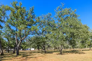 1180 Boos Ln, Fredericksburg, TX 78624 - Photo 42