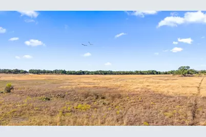 2482 Ranch Rd 2721, Johnson City, TX 78636 - Photo 6