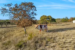 521 Bluff Creek Rd, Center Point, TX 78010 - Photo 64