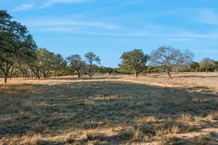 521 Bluff Creek Rd, Center Point, TX 78010 - Photo 46