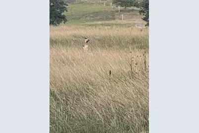 282 Inspiration Loop, Fredericksburg, TX 78624 - Photo 8