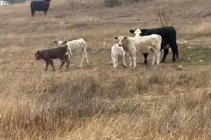 440 Junker Hill Dr, Fredericksburg, TX 78624 - Photo 68