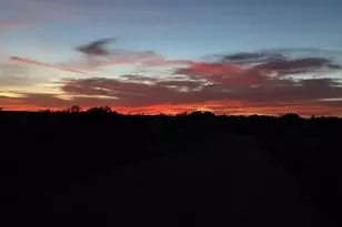 440 Junker Hill Dr, Fredericksburg, TX 78624 - Photo 92