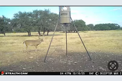 171 Crooked Tree Circle, Harper, TX 78631 - Photo 8