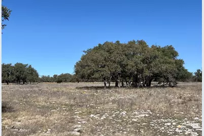 171 Crooked Tree Circle, Harper, TX 78631 - Photo 2