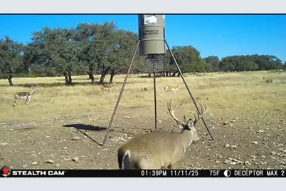 171 Crooked Tree Circle, Harper, TX 78631 - Photo 10