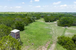 221 Coyote Trl, Harper, TX 78631 - Photo 36