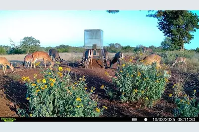 647 Funf Kinder Rd, Fredericksburg, TX 78624 - Photo 66