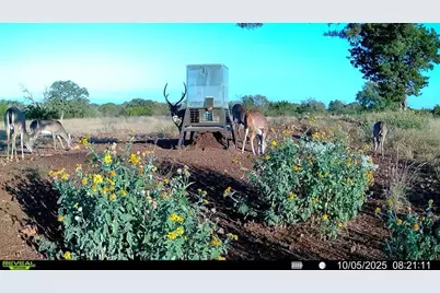 647 Funf Kinder Rd, Fredericksburg, TX 78624 - Photo 70