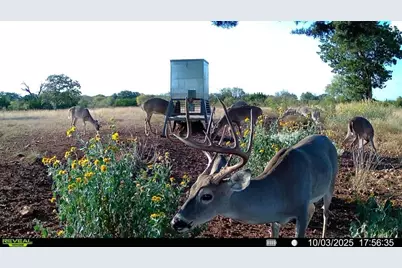 647 Funf Kinder Rd, Fredericksburg, TX 78624 - Photo 68