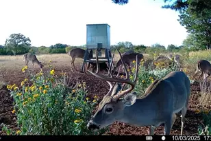 647 Funf Kinder Rd, Fredericksburg, TX 78624 - Photo 68