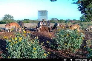 647 Funf Kinder Rd, Fredericksburg, TX 78624 - Photo 66