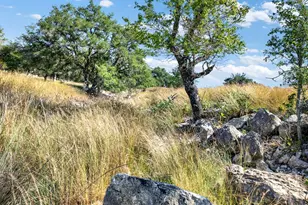 3408 Grape Creek Rd, Fredericksburg, TX 78624 - Photo 32