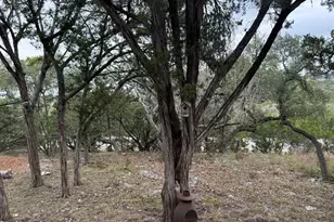 1154 Spitz Kegel View Dr, Canyon Lake, TX 78133 - Photo 16