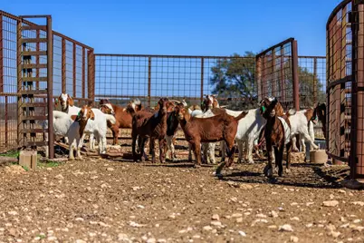 2020 Wendel Rd, Harper, TX 78631 - Photo 30