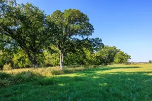 12215 W Fm 2093, Fredericksburg, TX 78624 - Photo 74