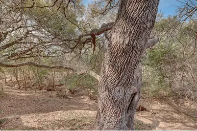 507 W Travis St, Fredericksburg, TX 78624 - Photo 36