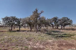 200 Mosel Rd, Harper, TX 78631 - Photo 26