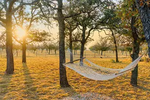 126 Shaun Ln, Fredericksburg, TX 78624 - Photo 26