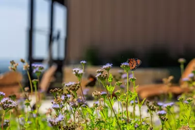 220 N Spies Ridge Dr., Fredericksburg, TX 78624 - Photo 14