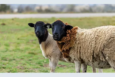 Lot 27 Dancing Sun Rd, Fredericksburg, TX 78624 - Photo 18