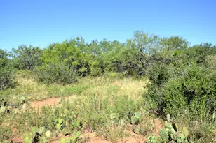 507 Buckhorn Dr, London, TX 76854 - Photo 26