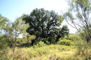 507 Buckhorn Dr, London, TX 76854 - Photo 24