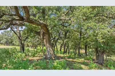 131 Elberta St, Stonewall, TX 78671 - Photo 34