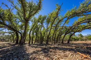 0000 Keese Rd, Fredericksburg, TX 78624 - Photo 1