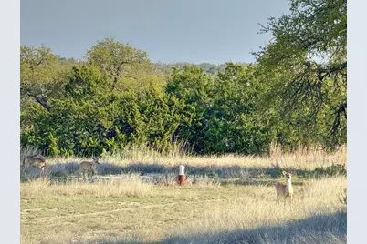 - Premier View Dr, Fredericksburg, TX 78624 - Photo 12