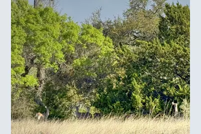 - Premier View Dr, Fredericksburg, TX 78624 - Photo 14