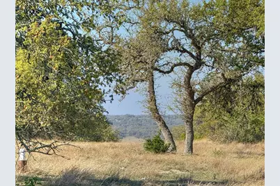 - Premier View Dr, Fredericksburg, TX 78624 - Photo 2