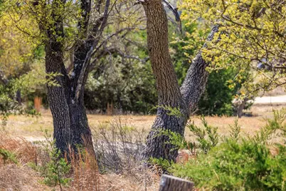 365 Lazy Hills Dr, Fredericksburg, TX 78624 - Photo 10