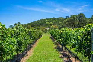 5081 Hwy 173, Center Point, TX 78010 - Photo 48