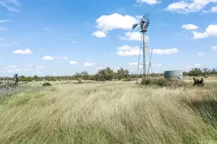 3527 Old Harper Rd, Fredericksburg, TX 78624 - Photo 22
