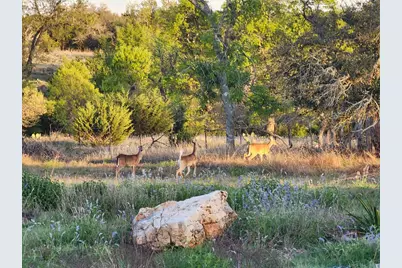 7991 Ranch Rd 965, Fredericksburg, TX 78624 - Photo 52