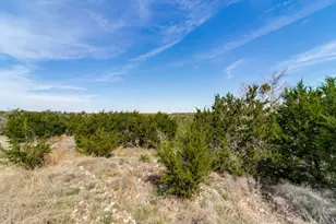 7991 Ranch Rd 965, Fredericksburg, TX 78624 - Photo 46