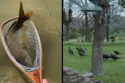 444 Klein Rd, Stonewall, TX 78671 - Photo 52