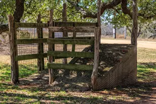 249 Eureka Ln, Fredericksburg, TX 78624 - Photo 30