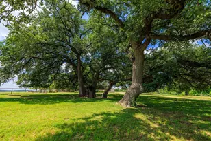249 Eureka Ln, Fredericksburg, TX 78624 - Photo 46