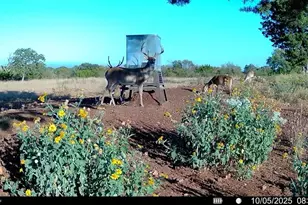 647 Funf Kinder Rd, Fredericksburg, TX 78624 - Photo 72